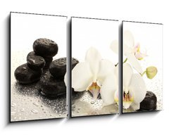 Obraz 3D tdln - 90 x 50 cm F_BS47301655 - Spa stones and orchid flowers, isolated on white.