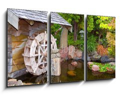 Obraz 3D tdln - 90 x 50 cm F_BS4796949 - Old Hut with Waterwheel