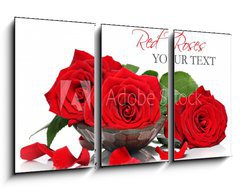 Obraz 3D tdln - 90 x 50 cm F_BS48588305 - Red roses and petals in a wooden spa bowl