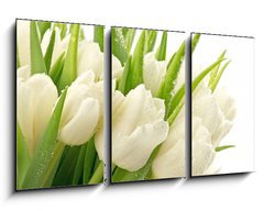 Obraz 3D tdln - 90 x 50 cm F_BS49549577 - Tulipany