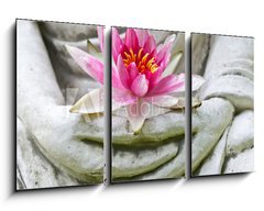 Obraz   Buddha hands holding flower, close up, 90 x 50 cm