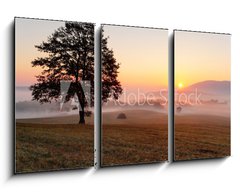 Obraz   Alone tree on meadow at sunset with sun and mist  panorama, 90 x 50 cm