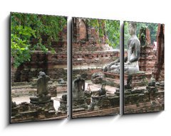 Obraz 3D tdln - 90 x 50 cm F_BS50401584 - Rovine templi Buddha