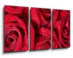 Obraz 3D tdln - 90 x 50 cm F_BS50422601 - Red rose. - erven re.