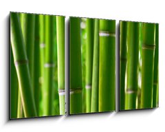 Obraz 3D tdln - 90 x 50 cm F_BS5056687 - Bamboo forest