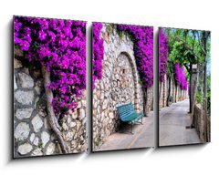 Obraz 3D tdln - 90 x 50 cm F_BS50635038 - Vibrant flower draped pathway in Capri, Italy