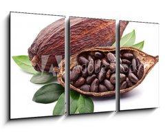 Obraz 3D tdln - 90 x 50 cm F_BS50690760 - Cocoa pod - Kakaov lusek