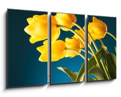 Obraz 3D tdln - 90 x 50 cm F_BS51753452 - back of a gorgeous bouquet of yellow tulips - zadn ndhern kytice lutch tulipn