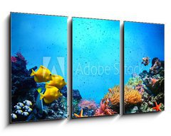 Obraz   Underwater scene. Coral reef, fish groups in clear ocean water, 90 x 50 cm