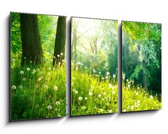 Obraz 3D tdln - 90 x 50 cm F_BS52445445 - Spring Nature. Beautiful Landscape. Green Grass and Trees