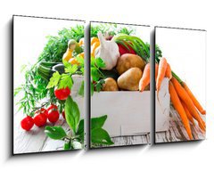 Obraz 3D tdln - 90 x 50 cm F_BS52503006 - Fresh vegetable