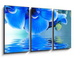 Obraz 3D tdln - 90 x 50 cm F_BS52702092 - ramo de orqu  dea y reflejo en el agua