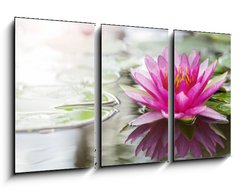 Obraz   Pink lotus, 90 x 50 cm