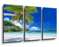 Obraz   cocotier pench sur plage des Seychelles, 90 x 50 cm