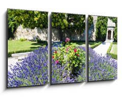 Obraz   garden in Les Baux de Provence, Provence, France, 90 x 50 cm