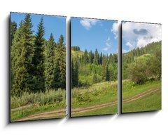 Obraz   Nature of green trees, road on Medeo, Kazakhstan, 90 x 50 cm