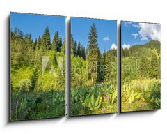 Obraz   Nature of green trees and blue sky, near Medeo in Kazakhstan, 90 x 50 cm