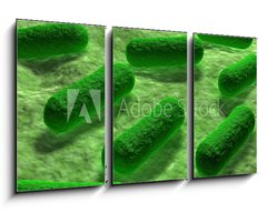 Obraz 3D tdln - 90 x 50 cm F_BS53968782 - E coli Bacteria.