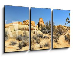 Obraz 3D tdln - 90 x 50 cm F_BS54332730 - Joshua Tree