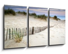 Obraz 3D tdln - 90 x 50 cm F_BS54417902 - Grassy sand dunes landscape at sunrise