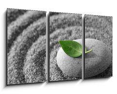 Obraz 3D tdln - 90 x 50 cm F_BS5482325 - Zen garden