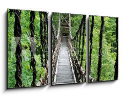 Obraz 3D tdln - 90 x 50 cm F_BS55730314 - Pont de lianes Kazura-bashi  Oku Iya, Shikoku, Japon