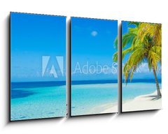 Obraz 3D tdln - 90 x 50 cm F_BS56105432 - Traum Insel in der Karibik