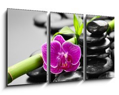 Obraz 3D tdln - 90 x 50 cm F_BS56279364 - orchid