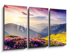 Obraz 3D tdln - 90 x 50 cm F_BS56511624 - nature