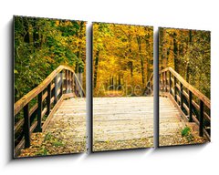 Obraz   Bridge in autumn park, 90 x 50 cm