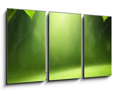 Obraz 3D tdln - 90 x 50 cm F_BS57381095 - Spring forest  background