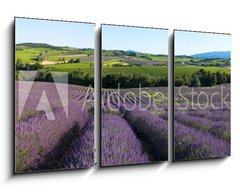 Obraz 3D tdln - 90 x 50 cm F_BS5757066 - panoramique - Champ de lavande en Provence