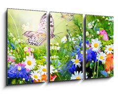 Obraz 3D tdln - 90 x 50 cm F_BS57751205 - Gartenparadies