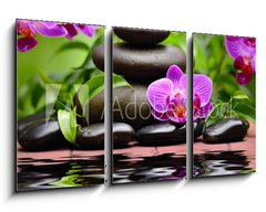 Obraz 3D tdln - 90 x 50 cm F_BS58101039 - orchid