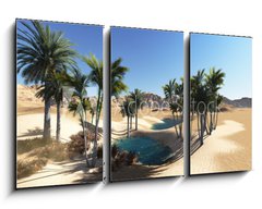 Obraz 3D tdln - 90 x 50 cm F_BS58101912 - Oasis