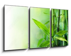 Obraz 3D tdln - 90 x 50 cm F_BS58926337 - bamboo stalks on water