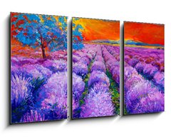 Obraz 3D tdln - 90 x 50 cm F_BS59143146 - Lavender fields