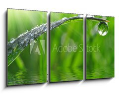 Obraz 3D tdln - 90 x 50 cm F_BS59247647 - dew drops close up