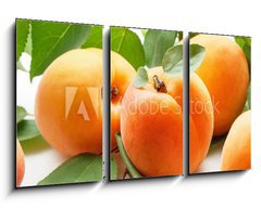 Obraz 3D tdln - 90 x 50 cm F_BS59284348 - Fresh apricots