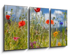 Obraz 3D tdln - 90 x 50 cm F_BS5928687 - Colorful wildflowers