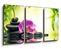 Obraz   alternative massage in bamboo garden on water, 90 x 50 cm
