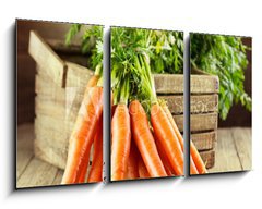 Obraz 3D tdln - 90 x 50 cm F_BS59972798 - fresh carrots