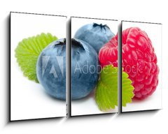 Obraz 3D tdln - 90 x 50 cm F_BS60008014 - Raspberry and blueberry isolated on white background - Malina a borvka izolovanch na blm pozad