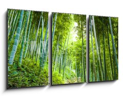 Obraz 3D tdln - 90 x 50 cm F_BS60510509 - Bamboo forest and walkway - Bambusov les a chodnk