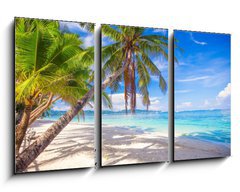 Obraz 3D tdln - 90 x 50 cm F_BS61258659 - Coconut Palm tree on the white sandy beach - Kokosov palma na bl psen pli