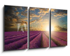 Obraz 3D tdln - 90 x 50 cm F_BS61346445 - Vibrant Summer sunset over lavender field landscape