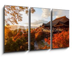 Obraz 3D tdln - 90 x 50 cm F_BS61926221 - Kiyomizu-dera temple in Kyoto