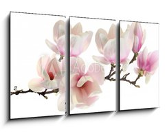 Obraz 3D tdln - 90 x 50 cm F_BS61937427 - spring