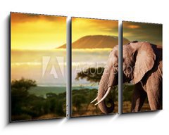 Obraz   Elephant on savanna. Mount Kilimanjaro at sunset. Safari, 90 x 50 cm