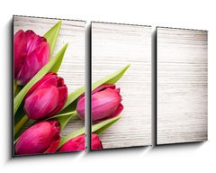 Obraz 3D třídílný - 90 x 50 cm F_BS62462522 - Tulip.